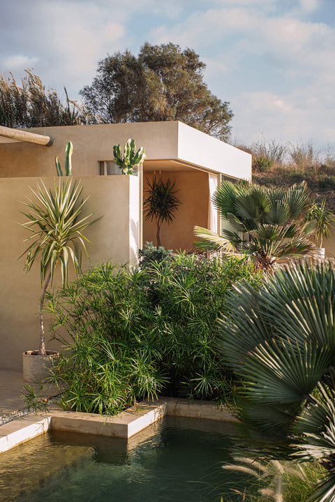 Landscapes & Maintenance
