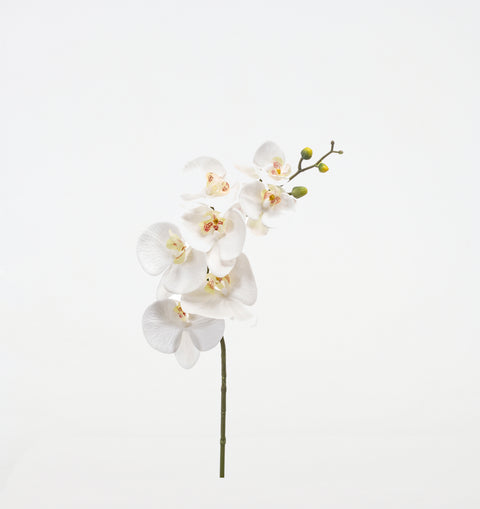 Test Product