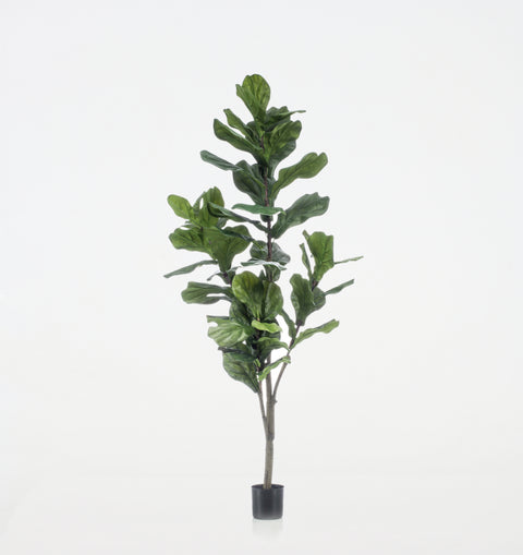 Artificial Ficus Lyrata