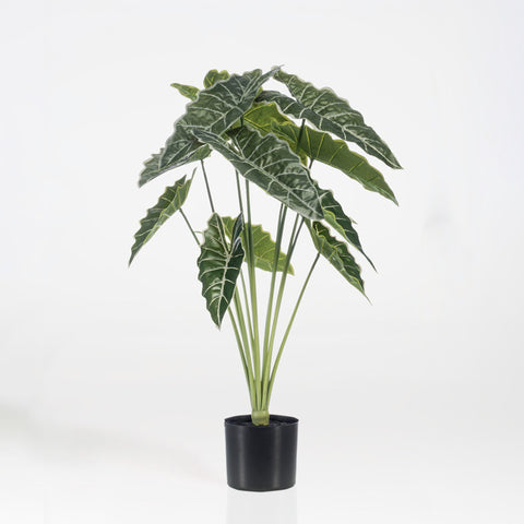 Artificial Alocasia