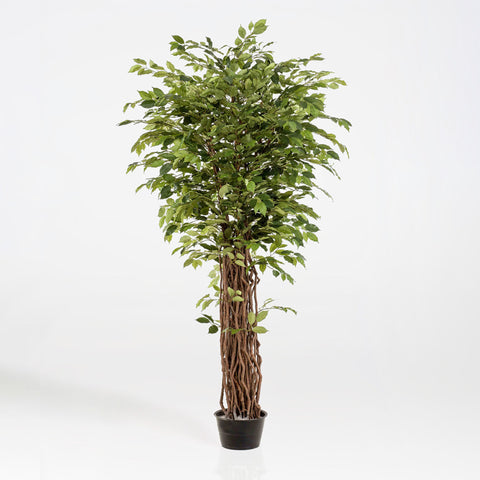 Artificial Ficus Benjamina