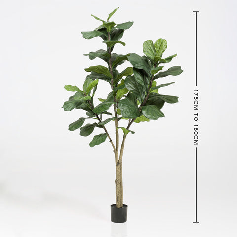 Artificial Ficus Lyrata