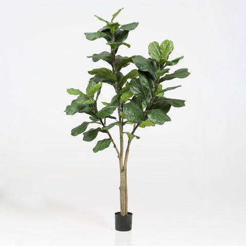 Artificial Ficus Lyrata