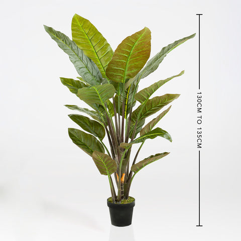 Artificial Strelitzia