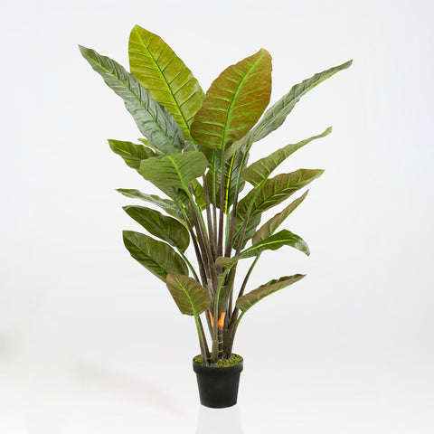 Artificial Strelitzia