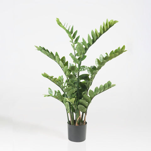 Artificial Zamioculcas