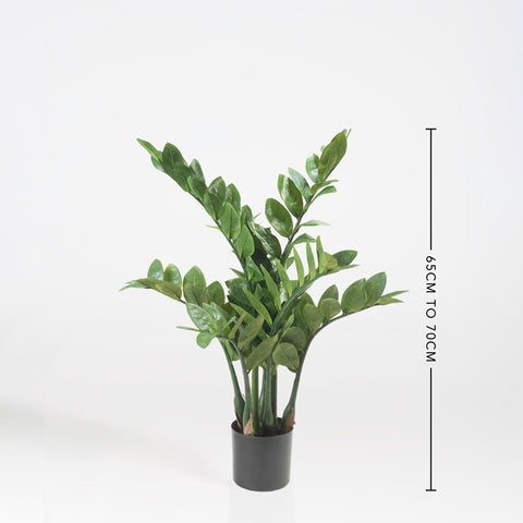 Artificial Zamioculcas