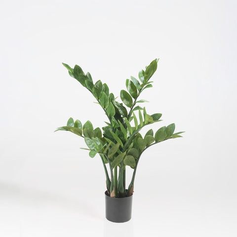 Artificial Zamioculcas