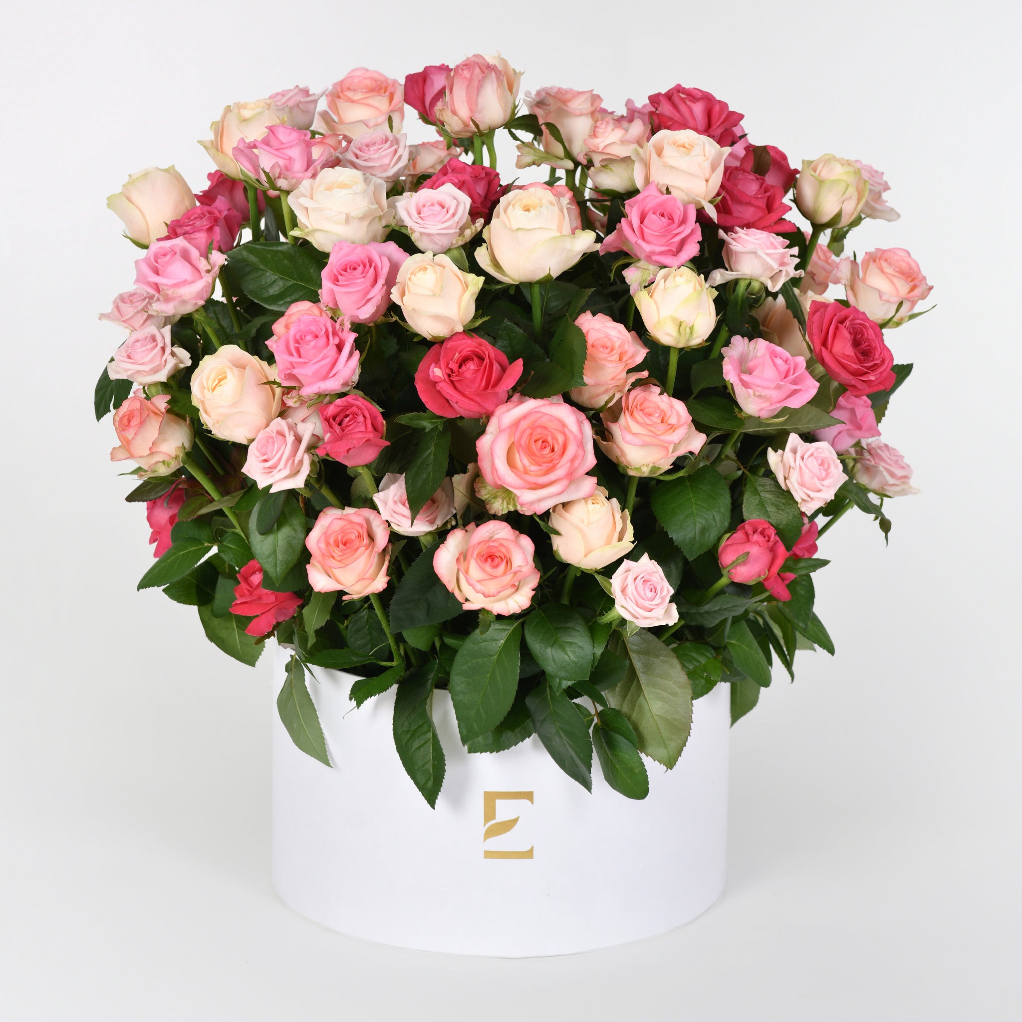 Cascading Roses – Exotica