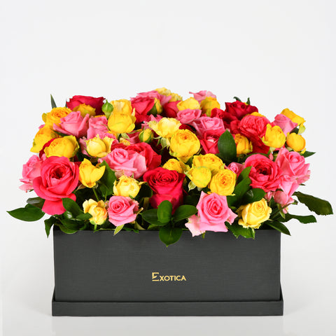Colorful Bloom