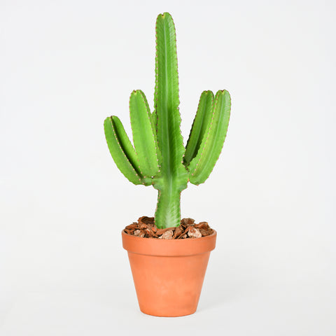Prickly Tower