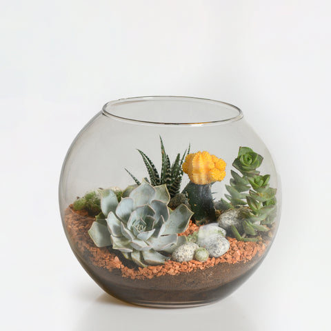 The Glass Garden