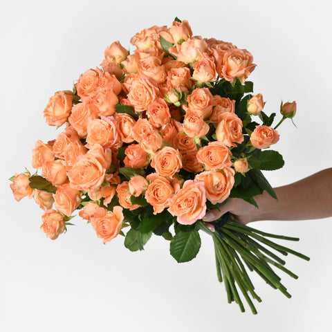 Blooms Of Youth