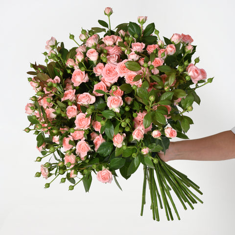 Blushing Petals