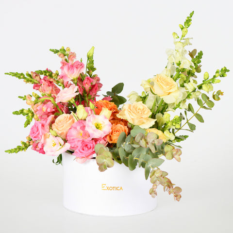 Charming Box