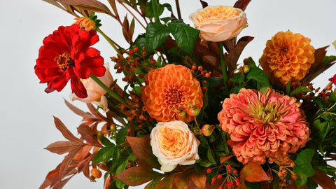 Best Fall Season Gift Guide | Flowers, Birthdays & Beyond