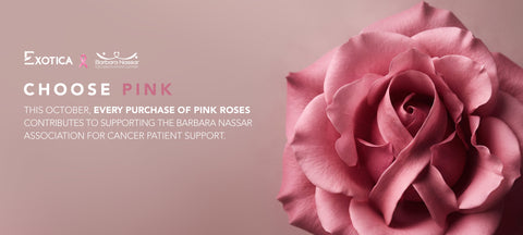 Pink October in Lebanon: Showing Support with Exotica and the Barbara Nassar Association