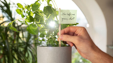 Thoughtful Gifts to Celebrate Father's Day in Style