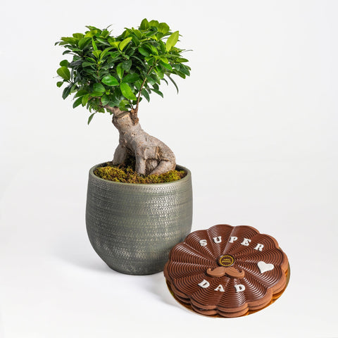 Why Flowers and Plants Have Become Meaningful Father’s Day Gifts