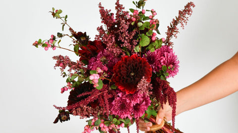 Zodiac Flowers: Astrology-Inspired Gifts for Libra, Scorpio & Sagittarius