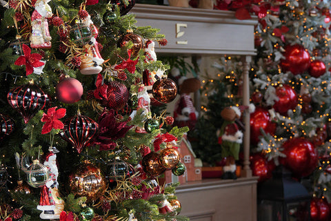 Exotica Christmas Gift Guide 2025