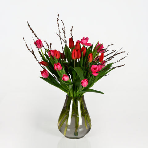 Vibrant Blooms