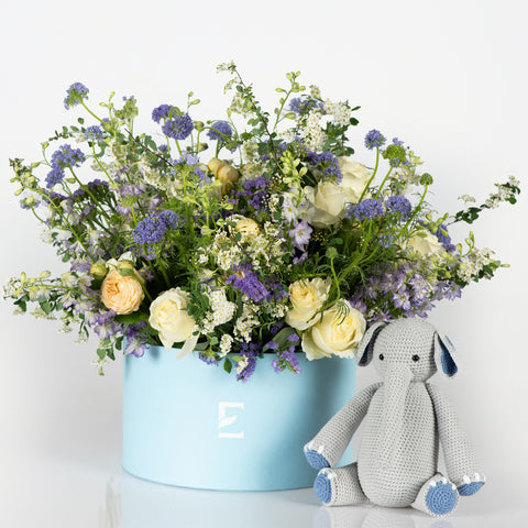 Elephant Hugs