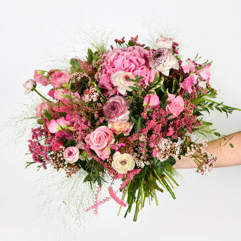 Blossoming Petals