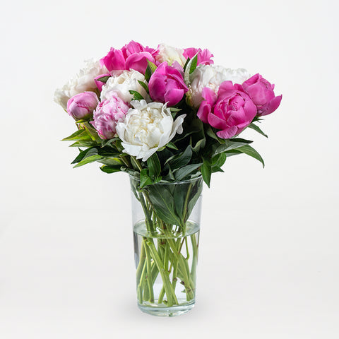 Perfect Peonies