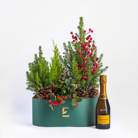 Evergreen Forest Box