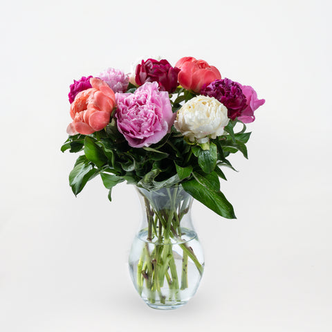 Floral Fantasy