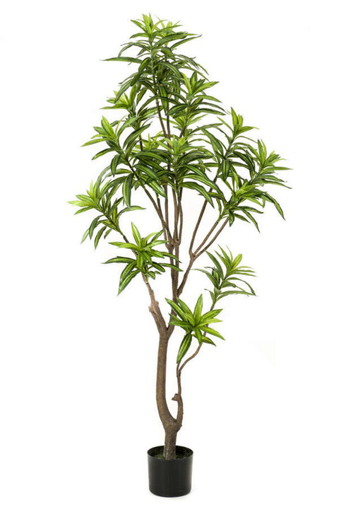 Artificial Dracaena Reflexa