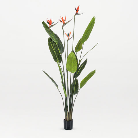 Artificial Strelitzia with Flowers