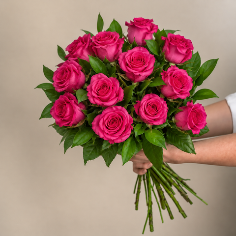 Fuchsia Elegance