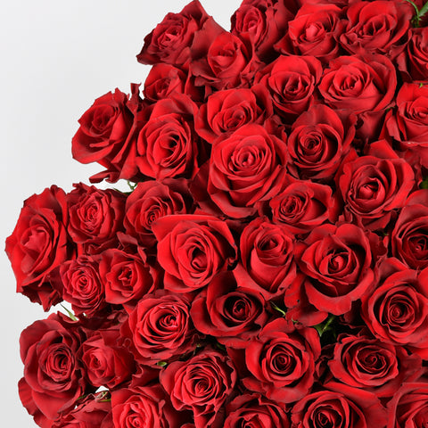 3 Dozen Reds