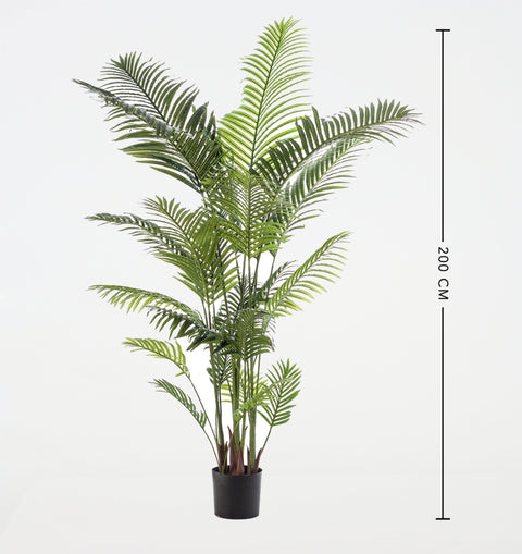 Artificial Kentia-Paradise Palm