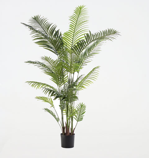 Artificial Kentia-Paradise Palm
