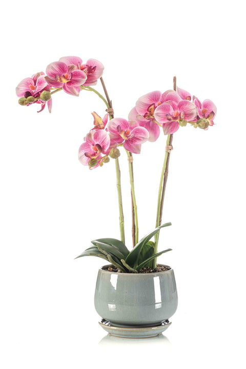 Artificial Phalaenopsis