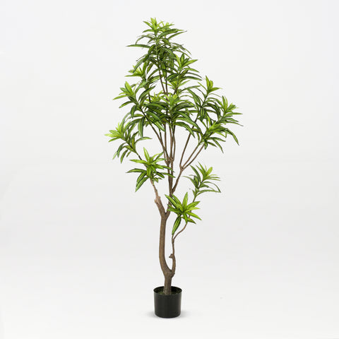 Artificial Dracaena Reflexa