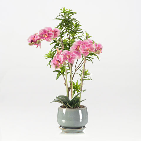 Artificial Phalaenopsis