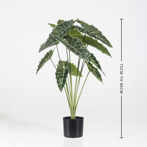 Artificial Alocasia