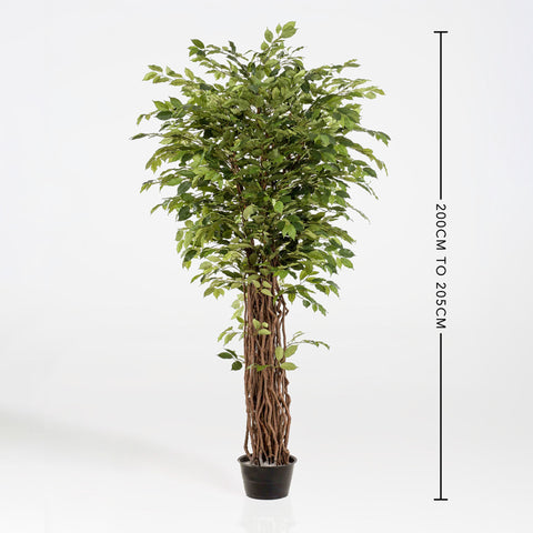 Artificial Ficus Benjamina