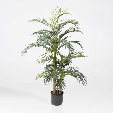 Artificial Areca