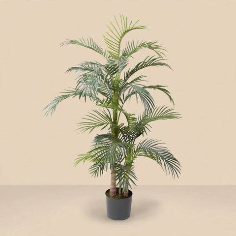 Artificial Areca