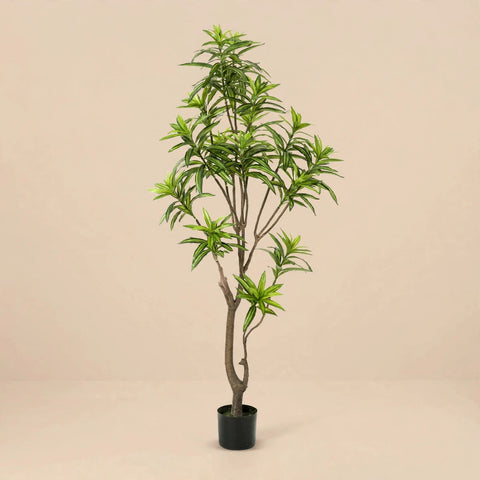 Artificial Dracaena Reflexa