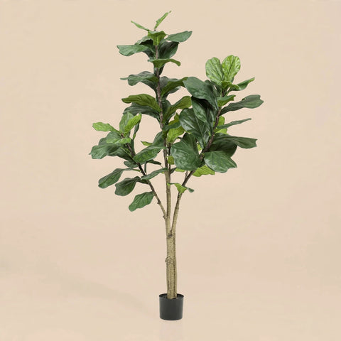 Artificial Ficus Lyrata