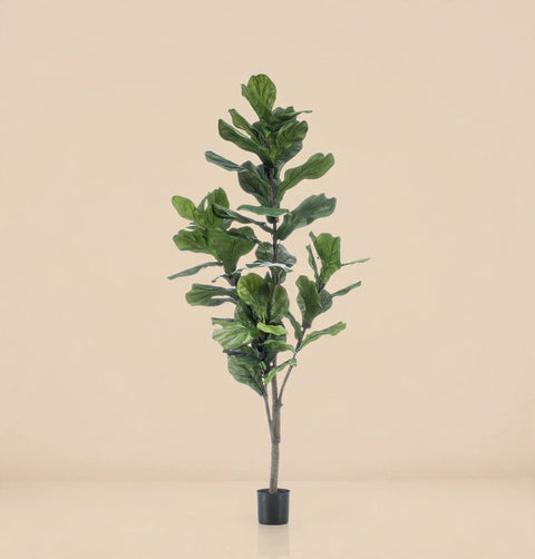 Artificial Ficus Lyrata