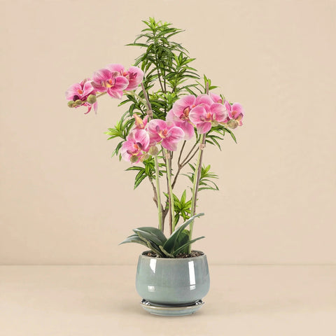 Artificial Phalaenopsis