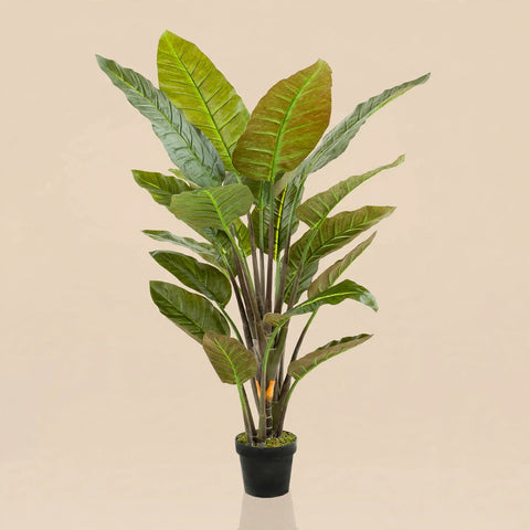 Artificial Strelitzia