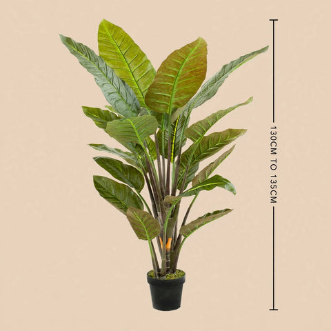 Artificial Strelitzia